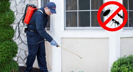 Tutak Hamam Böceği İlaçlama böcek ilaçlama ve haşere kontrolü — ilaclama-tr.com